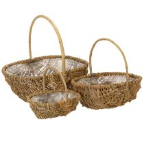 kohteita Perunakori 43/33/23 cm foliolla, luonnonvärinen, 3 kpl:n setti.