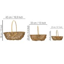 kohteita Perunakori 43/33/23 cm foliolla, luonnonvärinen, 3 kpl:n setti.