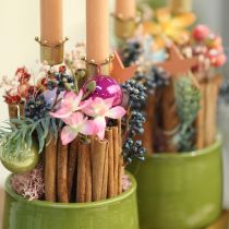 kohteita Kynttilänjalka kruunu kultainen, tikkukynttilänjalka metallinen 4 kpl