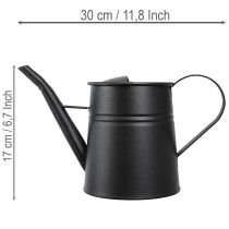 kohteita Tyylikäs pieni koristeellinen kastelukannu, mustaa metallia, 30x13x17cm, 1,7l, ruukku, asunto-/parvekekoristeeseen