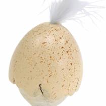 Poikaset munankuoressa valkoinen, kerma 6cm 6kpl