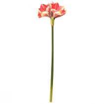 kohteita Keinotekoinen amaryllis vaaleanpunainen ja kermainen – suuri varsikukka 76 cm