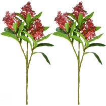 kohteita Tekokukat Red Skimmia japonica Skimmie 45cm 2kpl