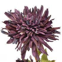 kohteita Keinotekoinen krysanteemi 2 kukkaa violetti Ø5/11cm L70cm