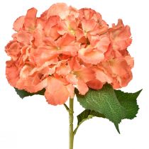 kohteita Keinotekoinen hortensia Jättimäinen koristekukka lohi Ø23cm L84cm