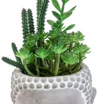 Keinotekoinen mehevä kukkaruukku Buddha Ø12cm K24cm