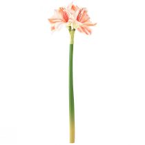 kohteita Keinotekoinen Knight's Star tekokukat Valkoinen Punaoranssi Amaryllis 40cm 3kpl