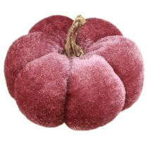 kohteita Kurpitsa kangaskoristelu sametti viininpunainen pinkki Ø7cm 9 kpl