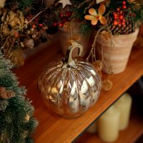 kohteita Kurpitsakoriste lasista lasikurpitsa pöytäkoriste oranssi Ø14cm K18cm