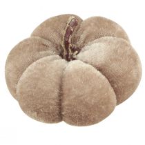 kohteita Kurpitsan koristekangas kurpitsat keltainen beige punainen ruskea Ø7cm 9 kpl