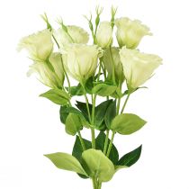 kohteita Tekokukat Eustoma Lisianthus keltavihreä 52cm 5 kpl