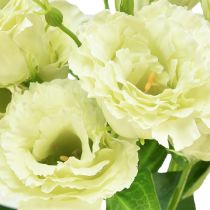 kohteita Tekokukat Eustoma Lisianthus keltavihreä 52cm 5 kpl