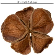 kohteita Landlotus Nature 50 kpl