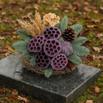 kohteita Lotus kapselit, kuiva kukkakauppa, lotus bulb pinkki, pesty valkoinen 50 kpl