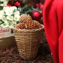 kohteita Maritima-kerma-vanilja-sekoitustötteröt 5-18 cm 25 kpl