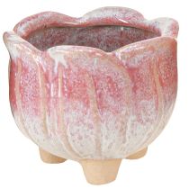 kohteita Mini istutuskone keraaminen ruukkukukka lajitelma Ø8cm K7cm 3kpl