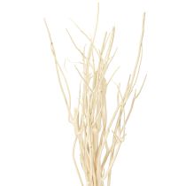 kohteita Mitsumata oksat valkoiset 34-60cm 12 kpl