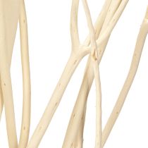 kohteita Mitsumata oksat valkoiset 34-60cm 12 kpl