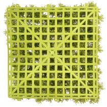 kohteita Keinotekoinen sammalmatto – täydellinen sammalkuvaan vaaleanvihreä 25×25cm