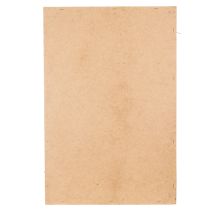 kohteita Sammalkuva, aitoa säilytettyä sammalta ja oksia, luonnonvärinen, 60 × 40 cm