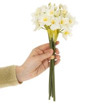 kohteita Narsissiksen oksa sesongin hääasetelmiin, kaunis, 33 cm, 6 kpl