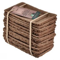 kohteita Oasis Biolit -jalusta kukkaistutuksille ja vaahtomuoviliilille 25 × 14 × 2 cm, 11 kpl - Kestävät kukka-asetelmat ja kukkakauppojen tarvikkeet