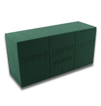 OASIS® plug-in moss maxlife standardi 20 tiiliä