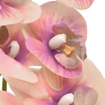 kohteita Orchid Phalaenopsis keinotekoinen 7 kukkaa violetti kerma 73cm