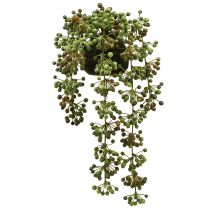 kohteita Vihreä kasvi keinohelminauha sammalpallossa 38cm