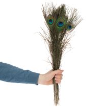 kohteita Riikinkukon höyheniä, aitoja linnun höyheniä askarteluun ja koristeluun, 55 cm, 10 kpl