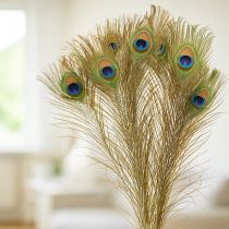 kohteita Riikinkukon sulkakoriste, aitoja linnun höyheniä, pituus 75-85 cm, 8 kpl