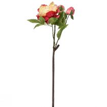 kohteita Pionit Silkkikukat Tekokukat Pinkki Keltainen 68cm