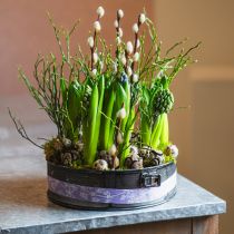 kohteita Istutuskone, koristeellinen uunipannu, jousivuoka istutukseen, metallikoristeet Ø24cm K7,5cm