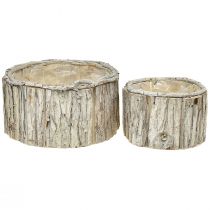 kohteita Kasvilaatikko puinen pyöreä kuori luonnonvalkoinen 26/18cm 2 kpl setti