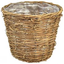 kohteita Kasvikori ruukkuistutuskone luonnollinen viiniköynnös Ø25cm K22,5cm