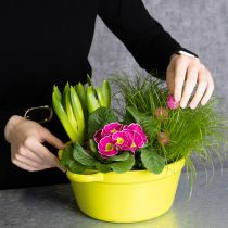 kohteita Peltiruukku, keväinen olohuoneen koriste, 25 cm, 3 kpl