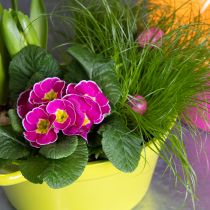 kohteita Peltiruukku, keväinen olohuoneen koriste, 25 cm, 3 kpl