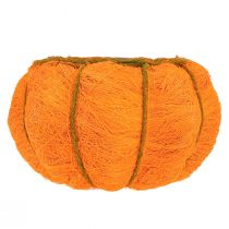 kohteita Ruukkukasvi kurpitsankoriste, oranssi/keltavihreä sisal Ø21cm K12cm