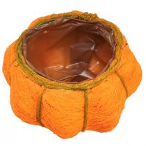 kohteita Ruukkukasvi kurpitsankoriste, oranssi/keltavihreä sisal Ø21cm K12cm