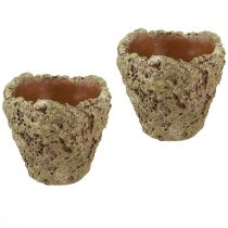 kohteita Istutusruukku maalaismainen metsän näköinen istutuskone Ø12,5cm K12cm 6kpl
