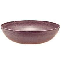 kohteita Tyylikäs violetti muovikulho 37x10,5 cm - monipuolinen koristeluun - 3 kpl