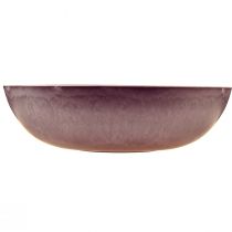kohteita Tyylikäs violetti muovikulho 37x10,5 cm - monipuolinen koristeluun - 3 kpl