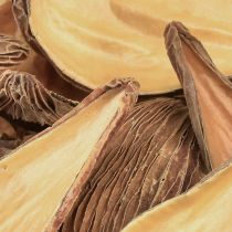 kohteita Hedelmä- ja siemenkapselipalot Pradeep Pods 9-12 cm natural 50 kpl