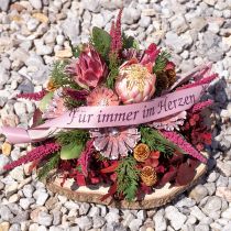 kohteita Protea rosetti kanerva himmeä Ø8-9cm 25 kpl