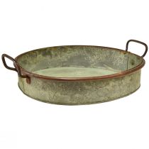 kohteita Kulho soikea metallitarjottimen kahva ruoste 46/52cm sarja 2 kpl