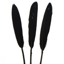 kohteita Mustat höyhenet Koristeelliset Hanhenhöyhenet Mustat 11-14cm 180 kpl
