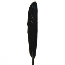 kohteita Mustat höyhenet Koristeelliset Hanhenhöyhenet Mustat 11-14cm 180 kpl