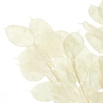 kohteita Hopea lehtikuu Violetti Lunaria Säilötty L70cm 20g