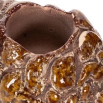 kohteita Käpykynttilälyhdyt, 8 cm, 3 kpl