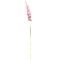 kohteita Steppe kynttilä Desert Tail Pink 106cm